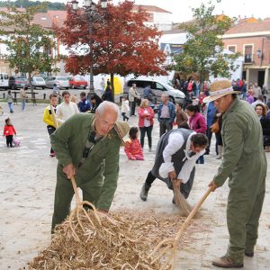 La alubia es de Saladaña