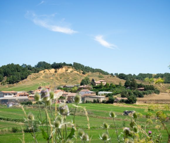 Villanueva del Monte