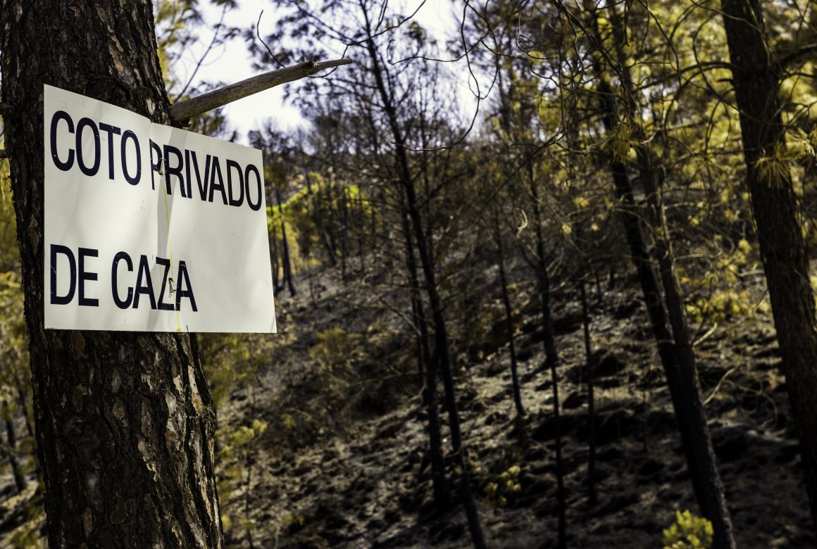 El Ayuntamiento de Saldaña saca a licitación tres cotos de caza
